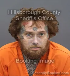 Mugshot of Matthew Jake Wildeman booked in Hillsborough County, Florida on August 24, 2026
