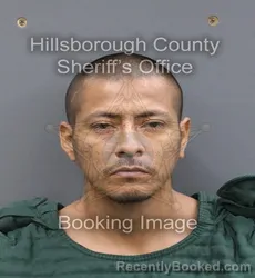 Mugshot of Eduardo Moreno booked in Hillsborough County, Florida on August 24, 2026