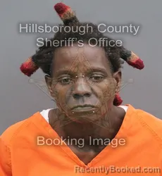 Mugshot of Leona Catherine Kinder booked in Hillsborough County, Florida on August 24, 2026