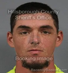 Mugshot of Andrew Tyler Grasty booked in Hillsborough County, Florida on August 24, 2026