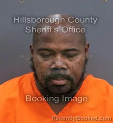 Mugshot of Christopher Allen Lucas booked in Hillsborough County, Florida on August 24, 2026
