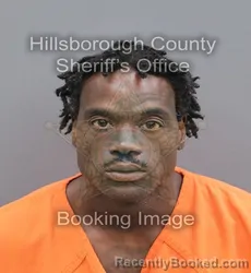 Mugshot of Carlton Edward Smith booked in Hillsborough County, Florida on August 24, 2026