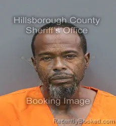 Mugshot of Byron T Peterson booked in Hillsborough County, Florida on August 24, 2026