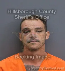 Mugshot of Joseph Luis Pagan booked in Hillsborough County, Florida on August 24, 2026
