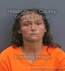 Mugshot of Sarah Lyn Briguglio booked in Hillsborough County, Florida on August 24, 2026
