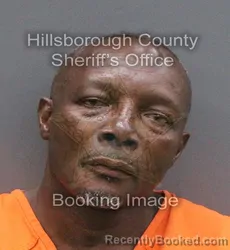 Mugshot of Vivian Lloyd Smith booked in Hillsborough County, Florida on August 24, 2026