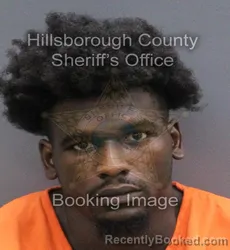 Mugshot of Dontae Lamar Hopkins booked in Hillsborough County, Florida on August 24, 2026