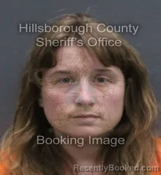 Mugshot of Jodie Jones Wang booked in Hillsborough County, Florida on August 24, 2026
