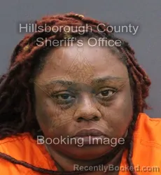 Mugshot of Brittany Evans booked in Hillsborough County, Florida on August 24, 2026