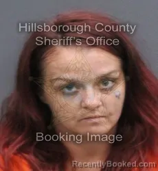 Mugshot of Mary Patricia Jean booked in Hillsborough County, Florida on August 25, 2026
