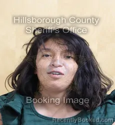 Mugshot of Justice Nicole Castillo booked in Hillsborough County, Florida on August 25, 2026