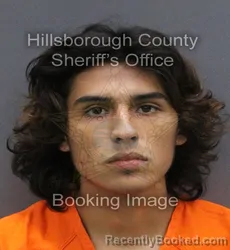 Mugshot of Dylan Joel Martinez booked in Hillsborough County, Florida on August 25, 2026