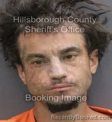 Mugshot of Joseph Hesler booked in Hillsborough County, Florida on August 25, 2026