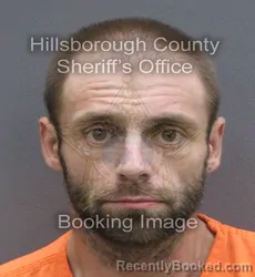 Mugshot of Christopher Charles Collins booked in Hillsborough County, Florida on August 25, 2026