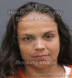 Mugshot of Francheska Marie Santana Baez booked in Hillsborough County, Florida on August 25, 2026