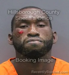 Mugshot of Erik David Fenelon booked in Hillsborough County, Florida on August 25, 2026