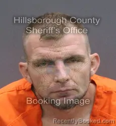 Mugshot of Roy Jr Sprouse booked in Hillsborough County, Florida on August 25, 2026