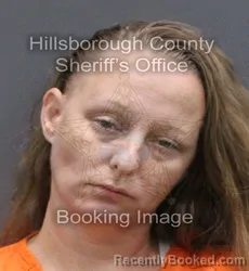 Mugshot of Kathleen Elizabeth Mclemore booked in Hillsborough County, Florida on August 25, 2026