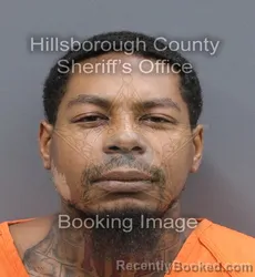 Mugshot of Elijah Alexander Howard booked in Hillsborough County, Florida on August 25, 2026