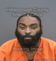 Mugshot of Mark Anthony Jr Wainwright booked in Hillsborough County, Florida on August 25, 2026