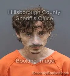 Mugshot of Hayden Sebastian Flannery booked in Hillsborough County, Florida on August 25, 2026