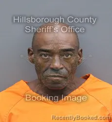 Mugshot of Edward Lewis Jr Graddy booked in Hillsborough County, Florida on August 25, 2026