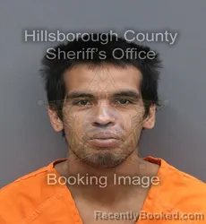 Mugshot of Alberto Miguel Estrada booked in Hillsborough County, Florida on August 25, 2026