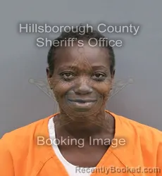 Mugshot of Cherise Yvette Wafer booked in Hillsborough County, Florida on August 25, 2026