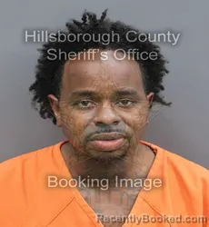 Mugshot of Norvis Jermaine Heflin booked in Hillsborough County, Florida on August 25, 2026
