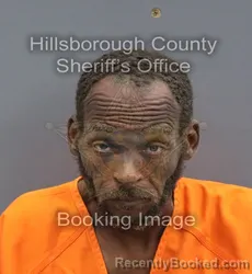 Mugshot of Shondell Alan Avitto booked in Hillsborough County, Florida on August 25, 2026