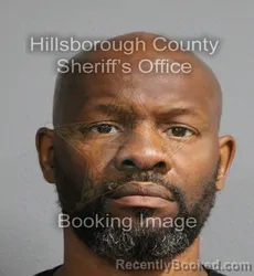 Mugshot of Takashimaya Lee Goadey booked in Hillsborough County, Florida on August 25, 2026