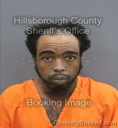 Mugshot of Kendrick Montrez Atkins booked in Hillsborough County, Florida on August 25, 2026
