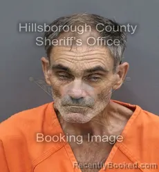 Mugshot of Joel Dean Rutland booked in Hillsborough County, Florida on August 25, 2026