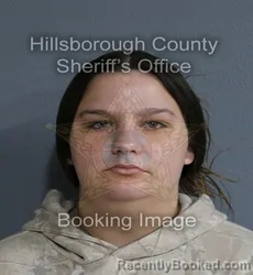 Mugshot of Alyssa Rene Thompson booked in Hillsborough County, Florida on August 25, 2026