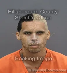 Mugshot of Devin Kyle Alias booked in Hillsborough County, Florida on August 25, 2026