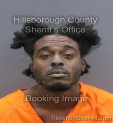 Mugshot of Cameron Jamal Rogers-Norwood booked in Hillsborough County, Florida on August 25, 2026