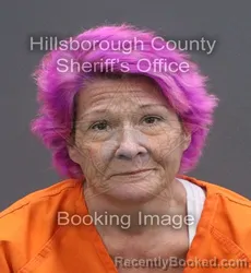 Mugshot of Stacy Elizabeth Lunn booked in Hillsborough County, Florida on August 25, 2026