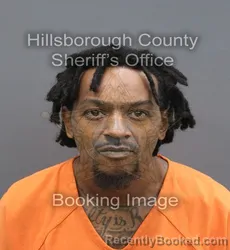 Mugshot of Devan Jabbarrichmon Cherry booked in Hillsborough County, Florida on August 25, 2026