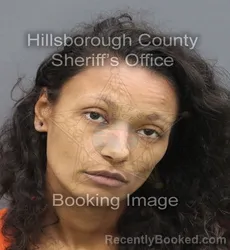 Mugshot of Summer Rose Frances Scott booked in Hillsborough County, Florida on August 25, 2026