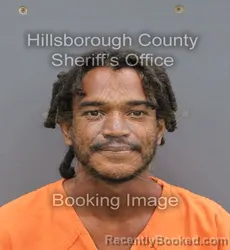 Mugshot of Oran Austin Gustitis booked in Hillsborough County, Florida on August 25, 2026