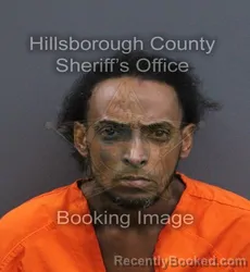 Mugshot of Juan Luis Torres booked in Hillsborough County, Florida on August 25, 2026