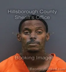 Mugshot of Andy Rey Gonzalez Sanchez booked in Hillsborough County, Florida on August 25, 2026