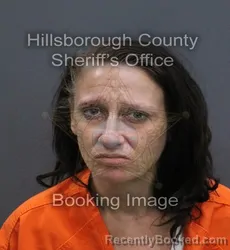Mugshot of Kayla Renee Eddins booked in Hillsborough County, Florida on August 25, 2026