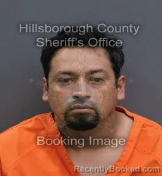 Mugshot of Jorge Angel Aviles booked in Hillsborough County, Florida on August 25, 2026