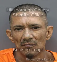 Mugshot of Eliceo Valdez booked in Hillsborough County, Florida on August 25, 2026