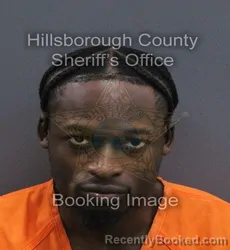 Mugshot of Isaiah Daniel Herard booked in Hillsborough County, Florida on August 26, 2026