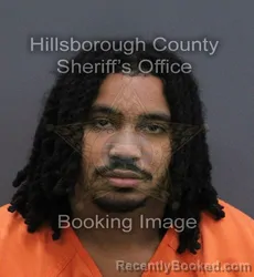 Mugshot of Seth Alexander Jones booked in Hillsborough County, Florida on August 26, 2026