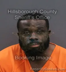 Mugshot of Uduma Igwe Kalu booked in Hillsborough County, Florida on August 26, 2026
