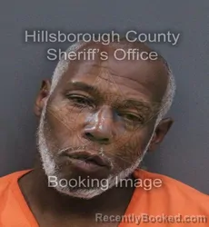 Mugshot of Christopher Lamont Harris booked in Hillsborough County, Florida on August 26, 2026