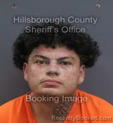 Mugshot of Isiah Minjares booked in Hillsborough County, Florida on August 26, 2026